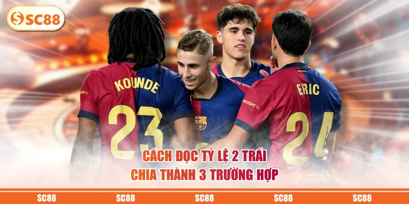 Cách đọc tỷ lệ 2 trái chia thành 3 trường hợp