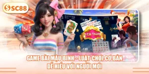 Game Bài Mậu Binh - Luật Chơi Cơ Bản Dễ Hiểu Với Người Mới