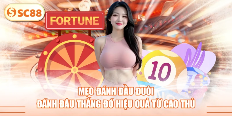 Mẹo Đánh Đầu Đuôi Đánh Đâu Thắng Đó Hiệu Quả Từ Cao Thủ